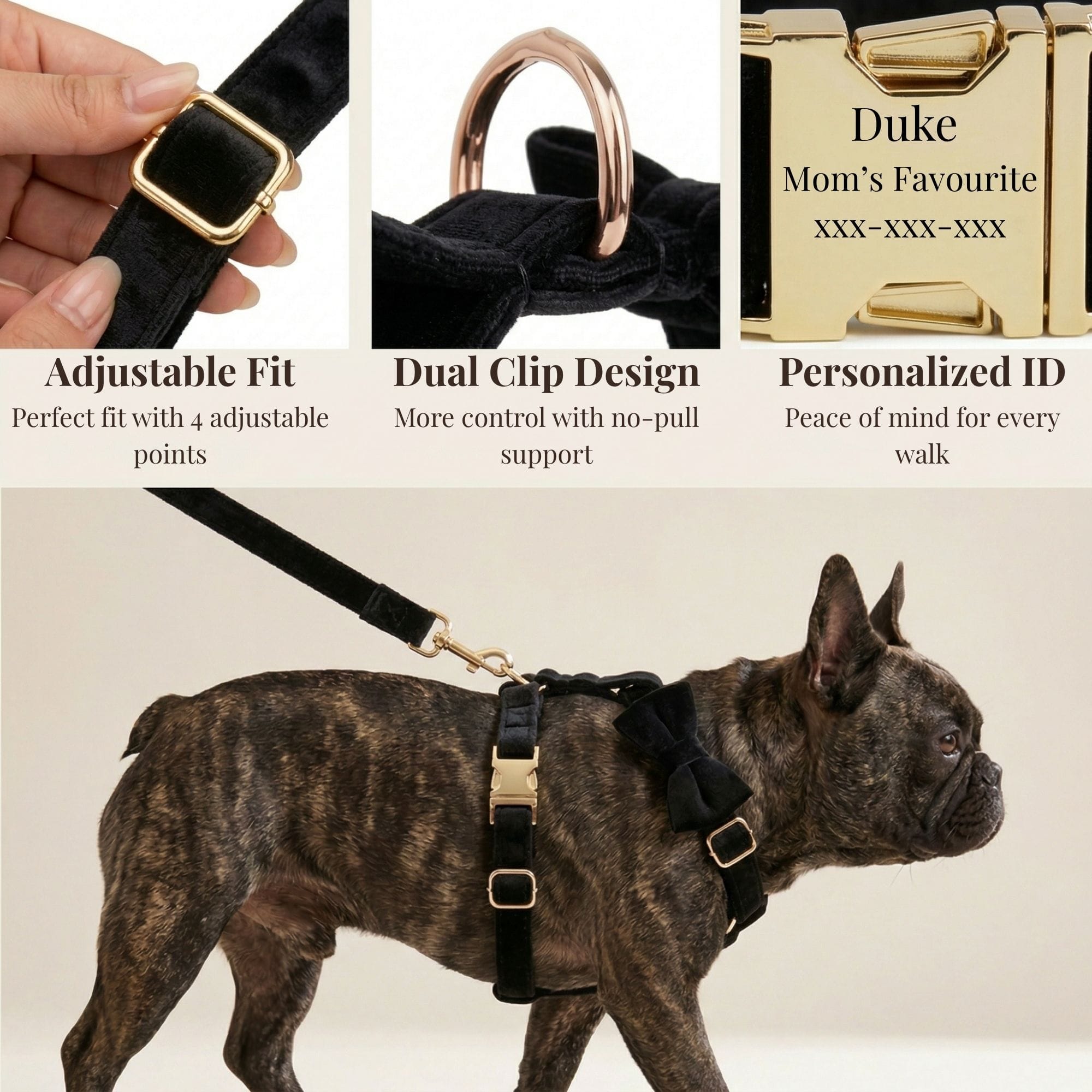 D&D Paws  Black Velvet Set