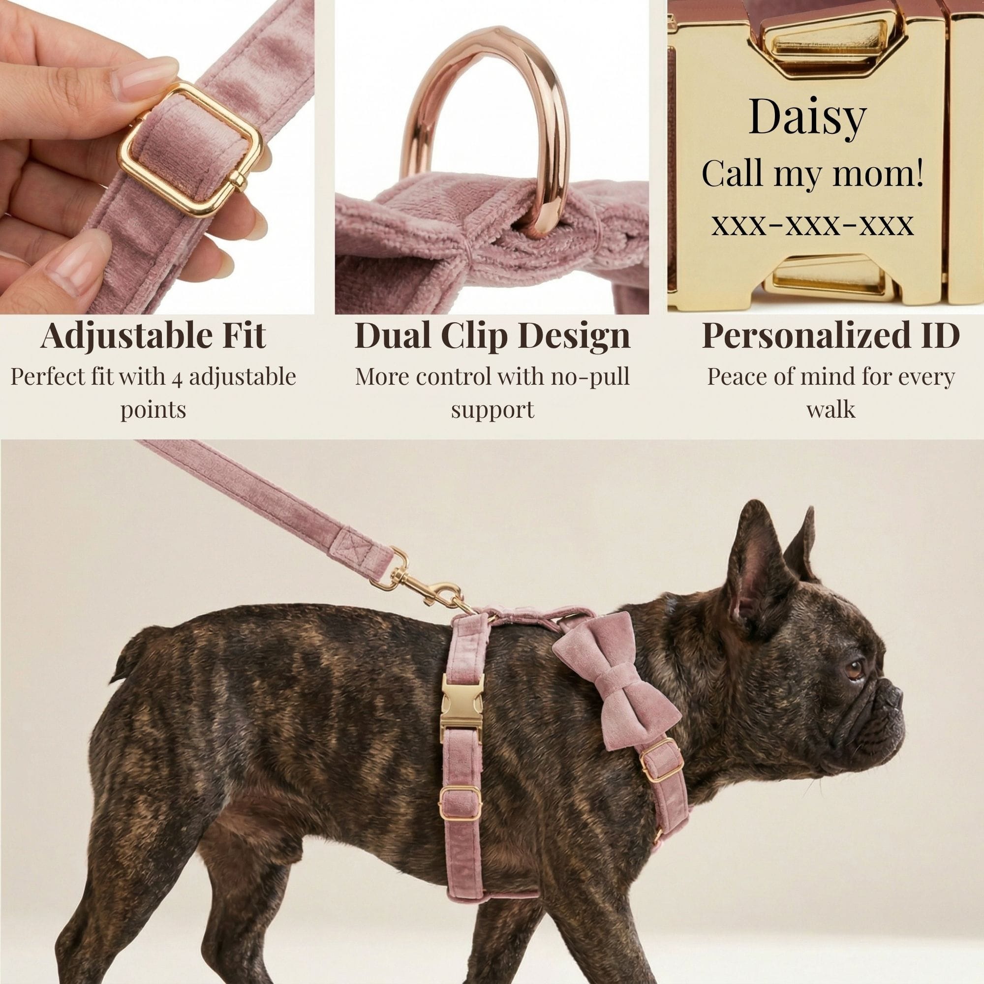 D&D Paws  Light Purple Velvet Set