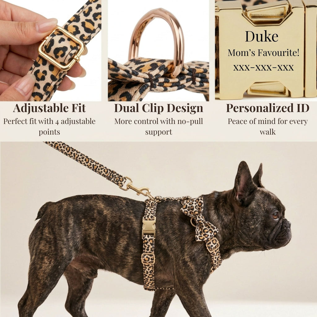 DDPaws Brown Leopard Velvet Set