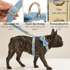 D&D Paws  Light Blue Teddy Set