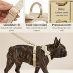 D&D Paws  Milky White Velvet Set