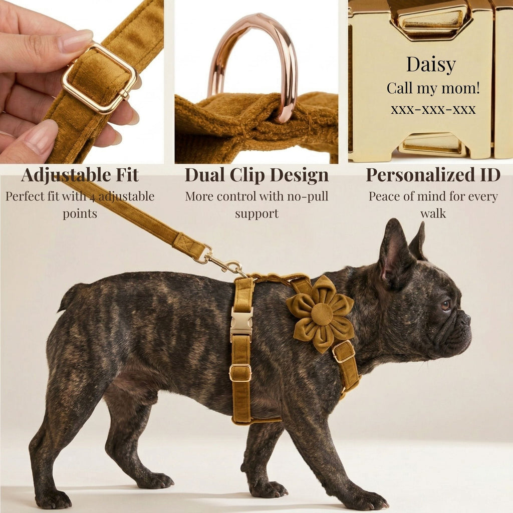 D&D Paws  Light Coffee Velvet Set