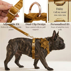 D&D Paws  Light Coffee Velvet Set