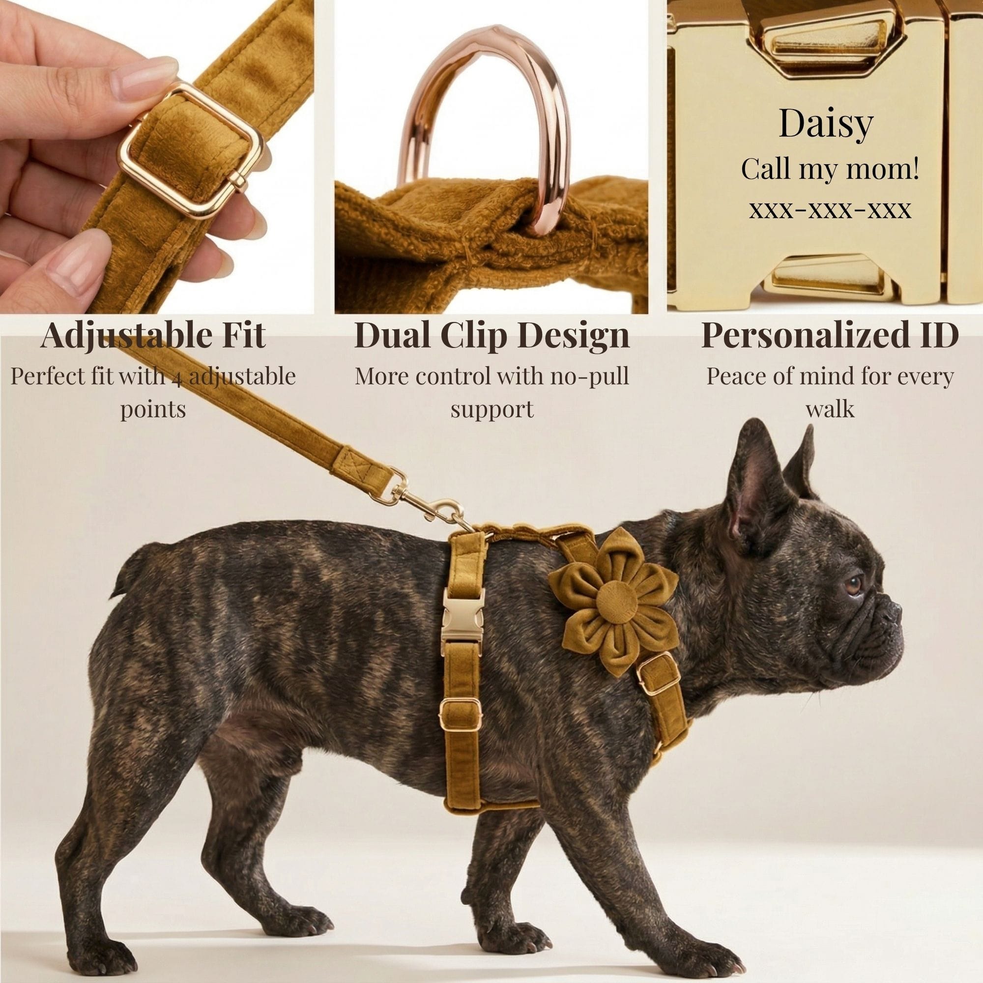 D&D Paws  Light Coffee Velvet Set