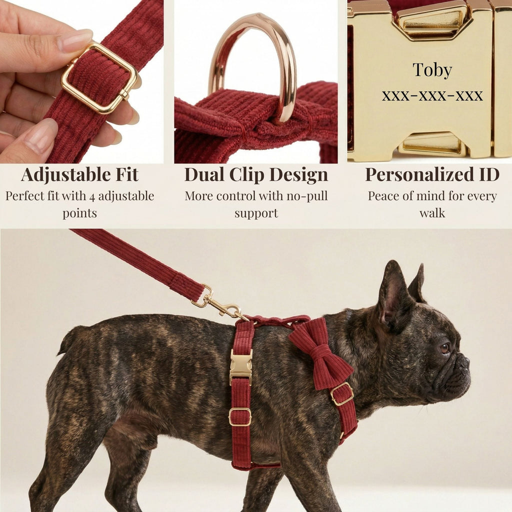 D&D Paws  Dark Red Corduroy Set