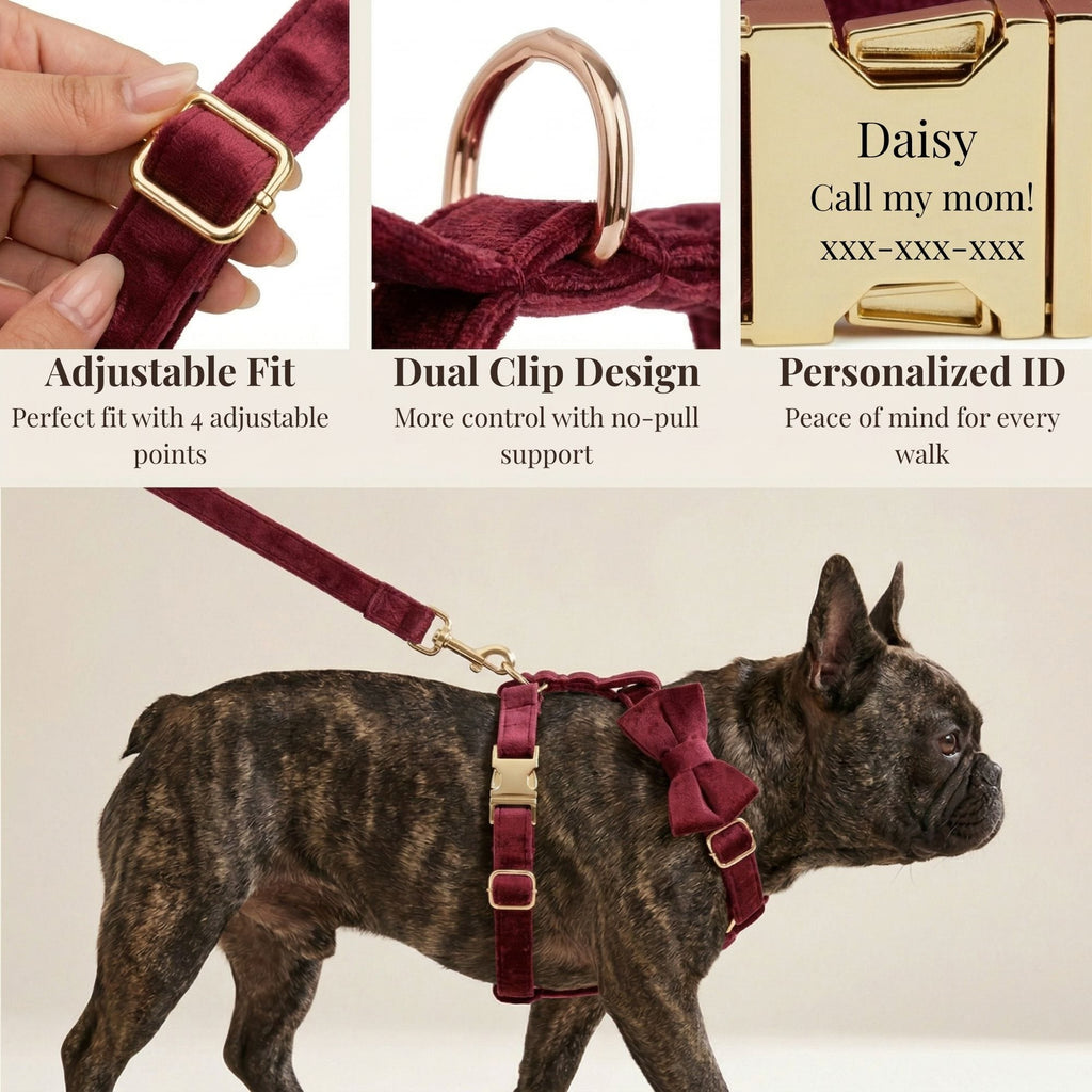 D&D Paws  Red Wine Velvet Set