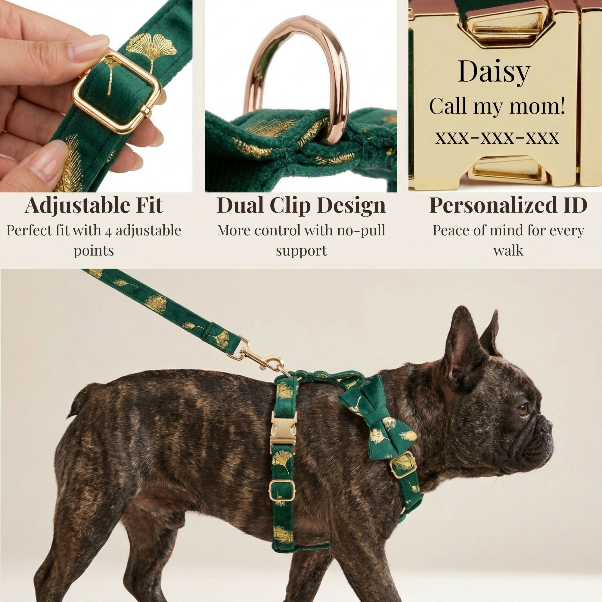 D&D Paws  Green Feather Velvet Set