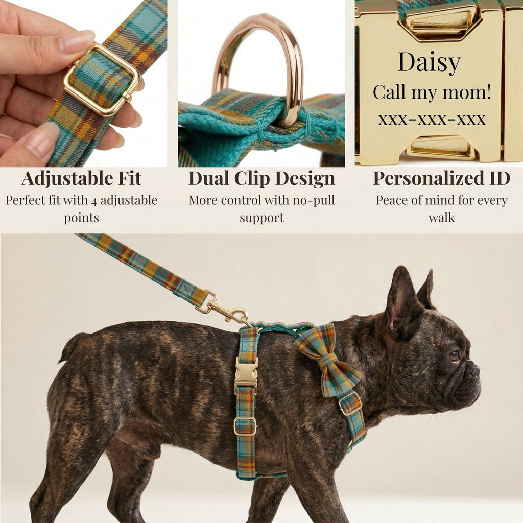 D&D Paws  Autumn Blue Plaid Set