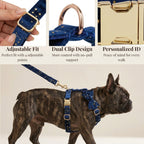 D&D Paws  Dark Blue Velvet Set