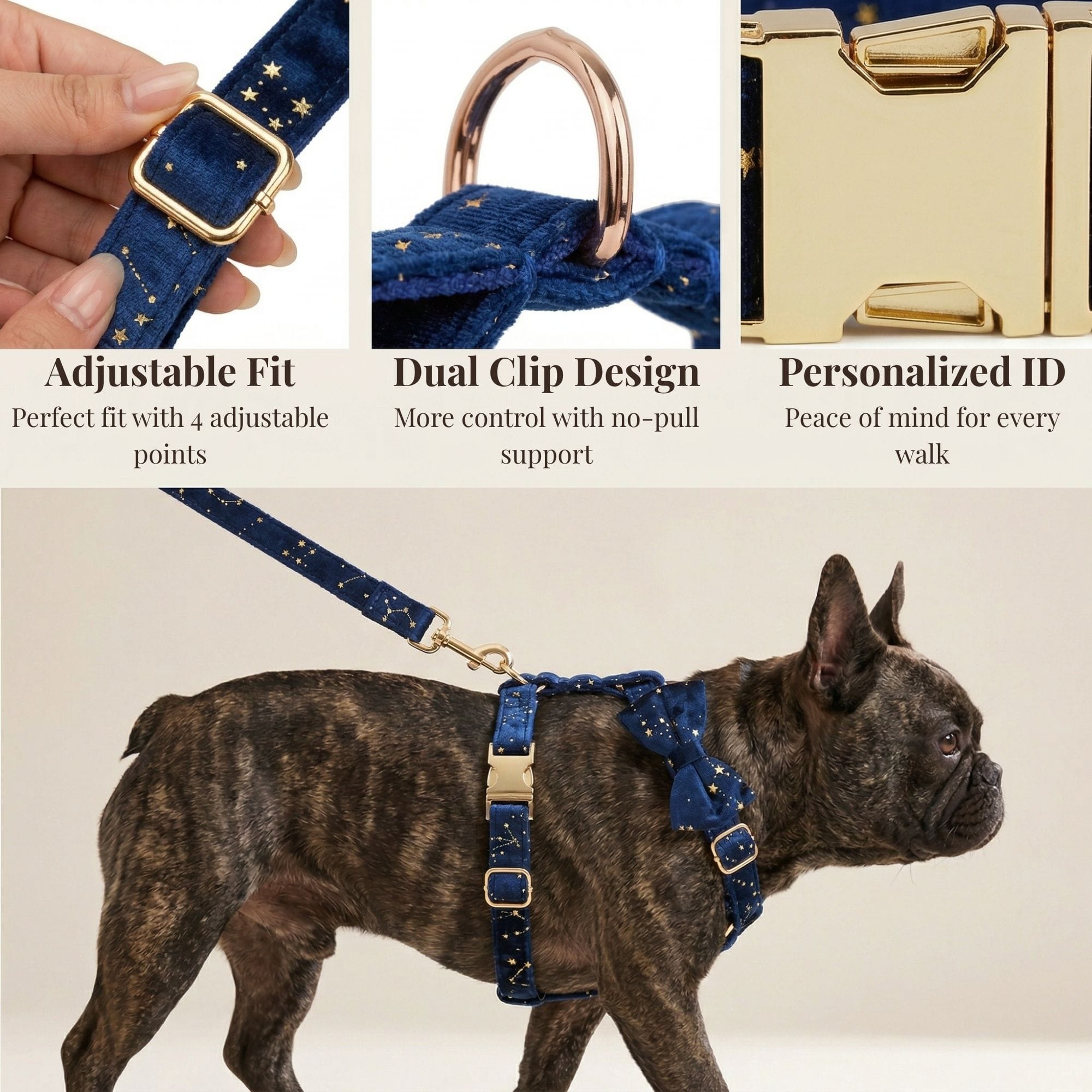 D&D Paws  Dark Blue Velvet Set