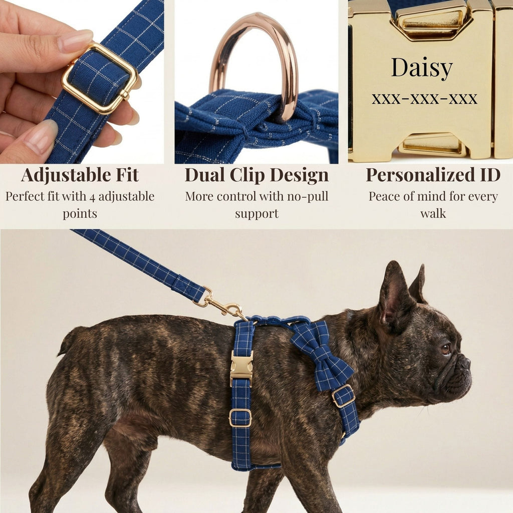 D&D Paws  Plaid Dark Blue Set