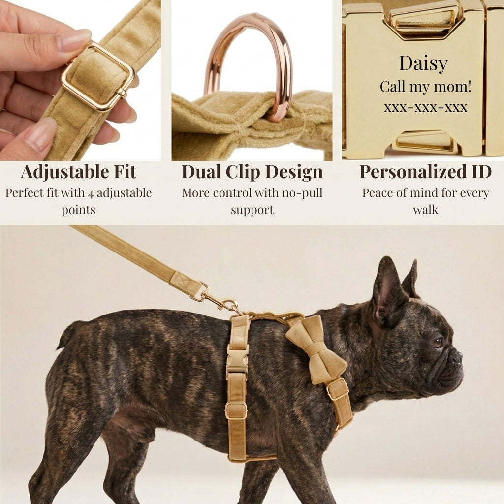 D&D Paws  Nude Velvet Set