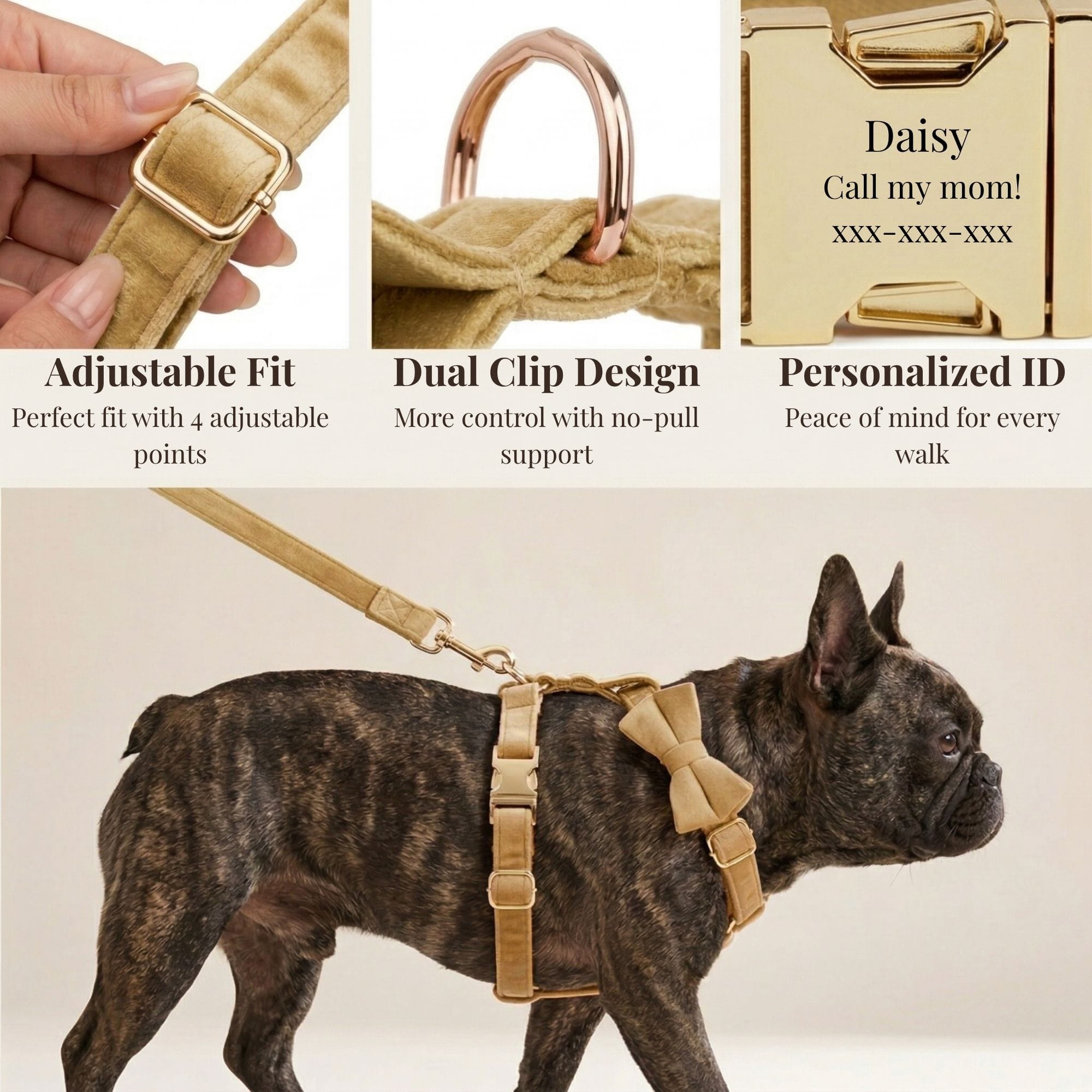D&D Paws  Nude Velvet Set