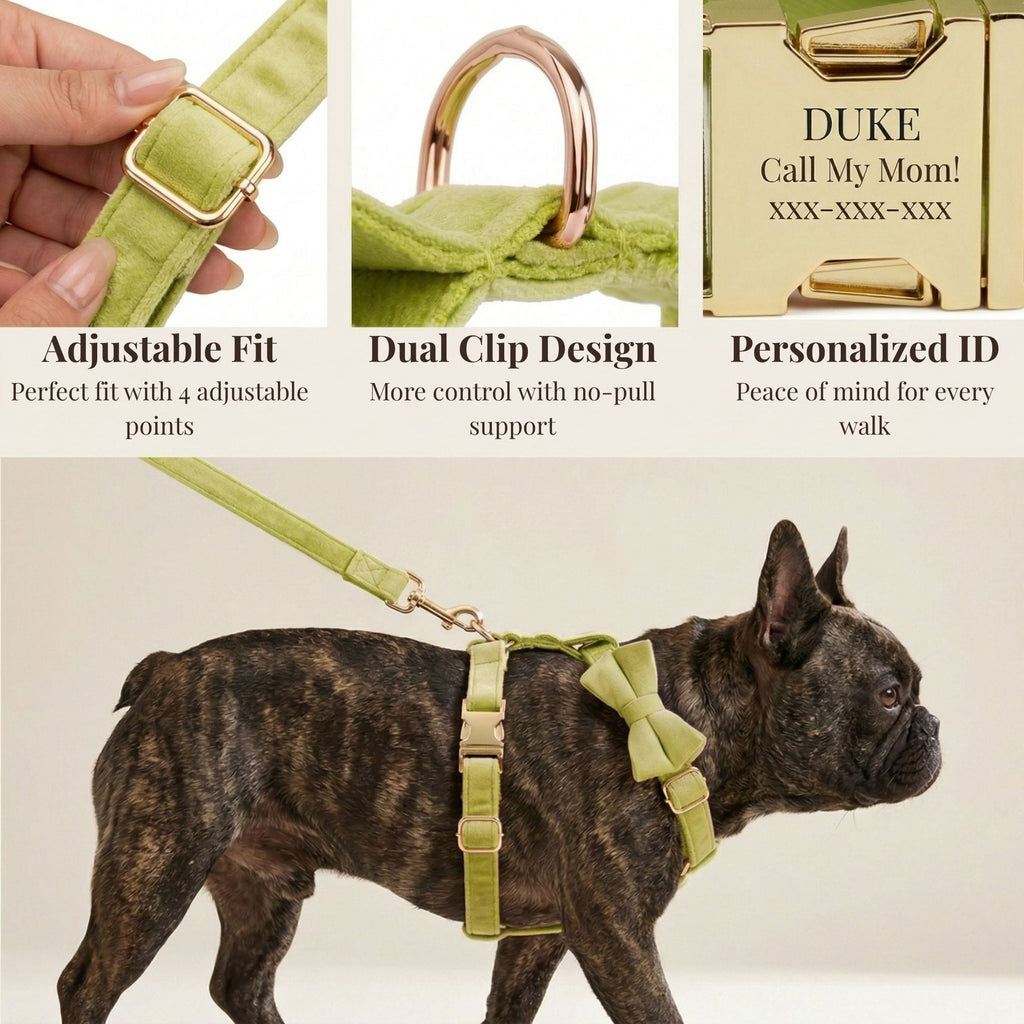 DDPaws  Avocado Velvet Set
