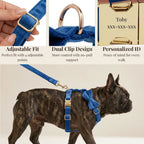 D&D Paws  Blue Velvet Set