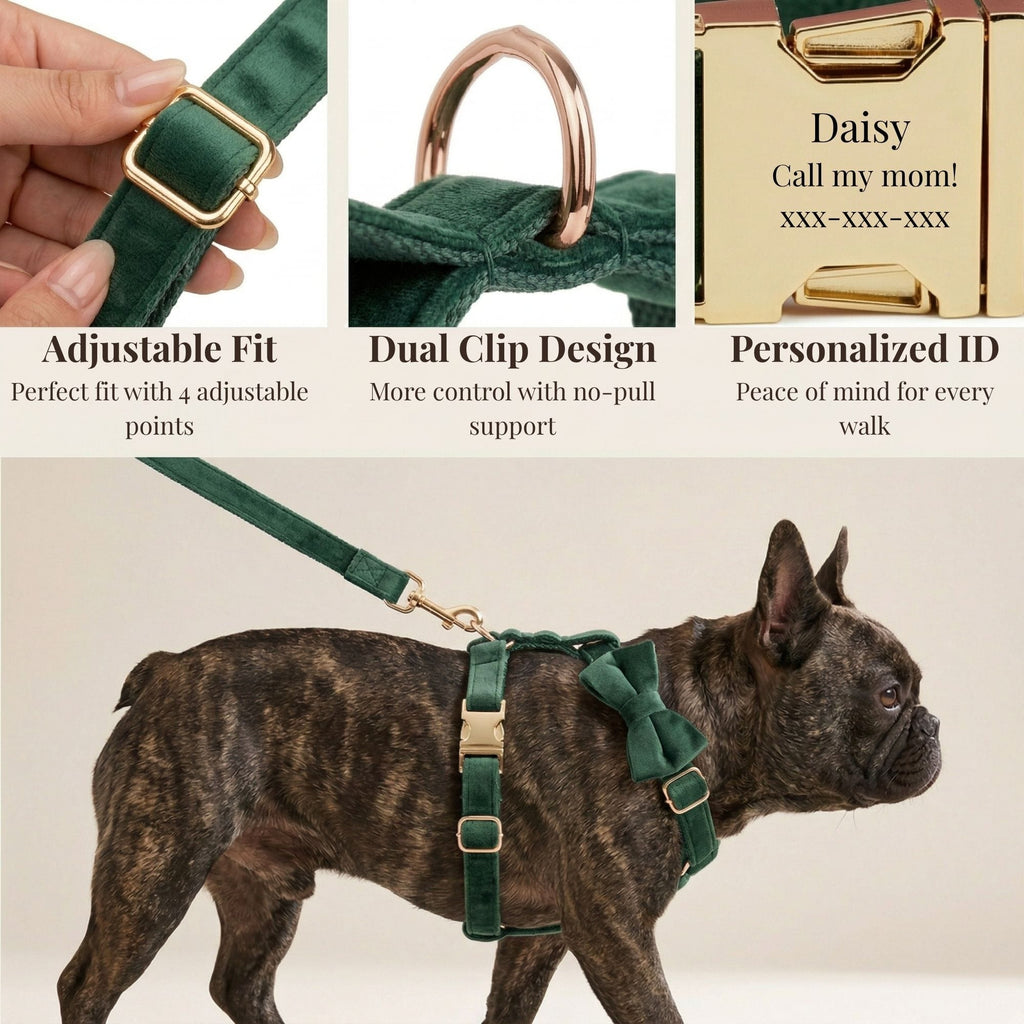 D&D Paws  Velvet Forest Teal Set