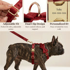 DDPaws  Crimson Red Velvet Set