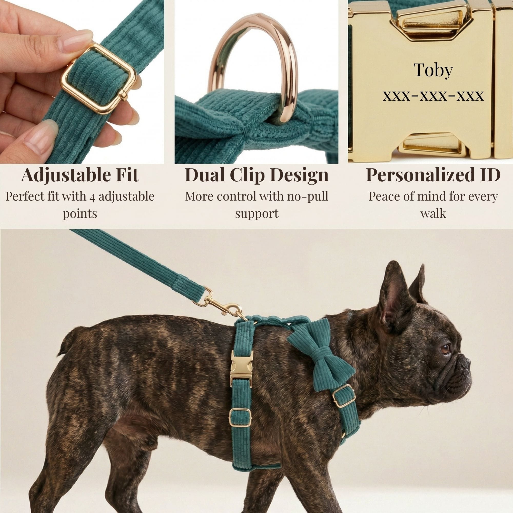 D&D Paws  Dark Green Corduroy Set