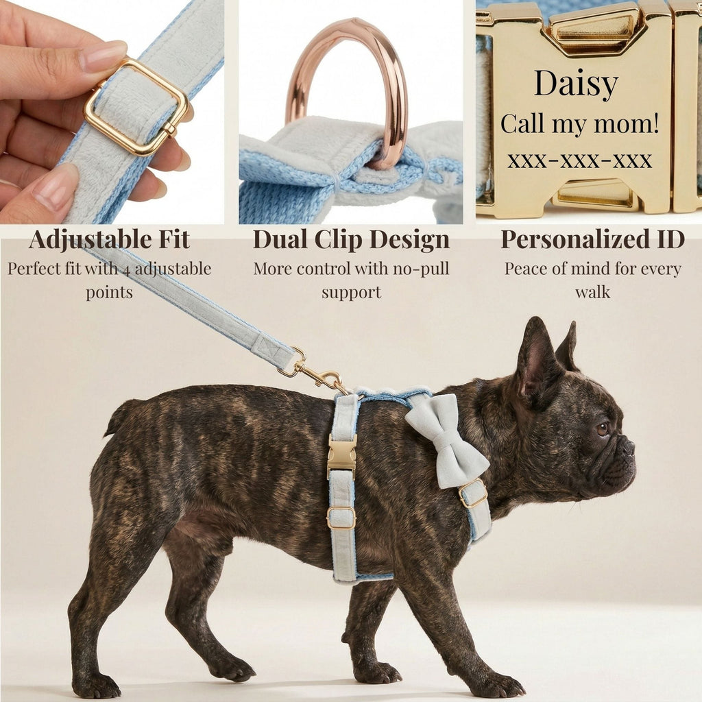D&D Paws  Light Blue Velvet Set