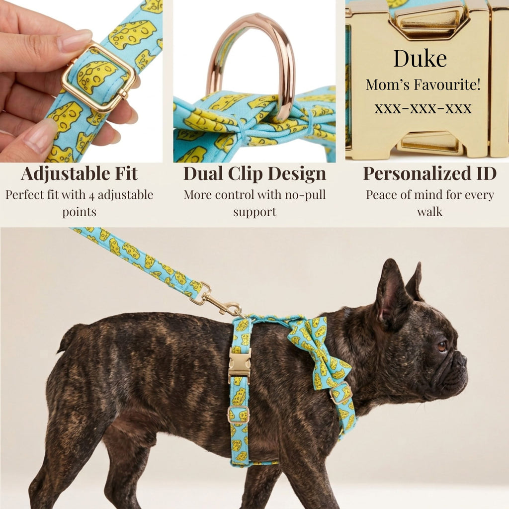 Cheddar Pup Set