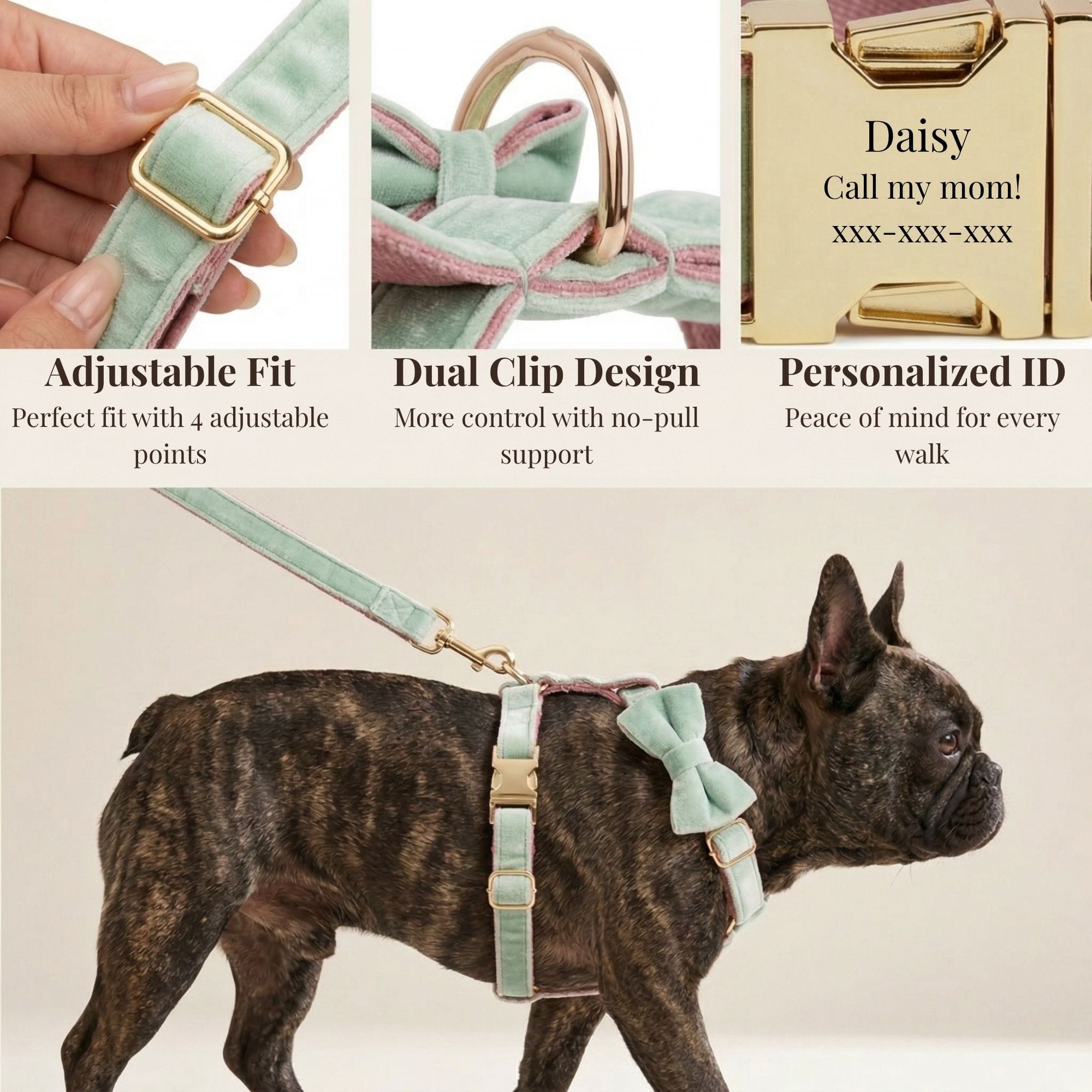 DDPaws  Mint Green Pink Velvet Set