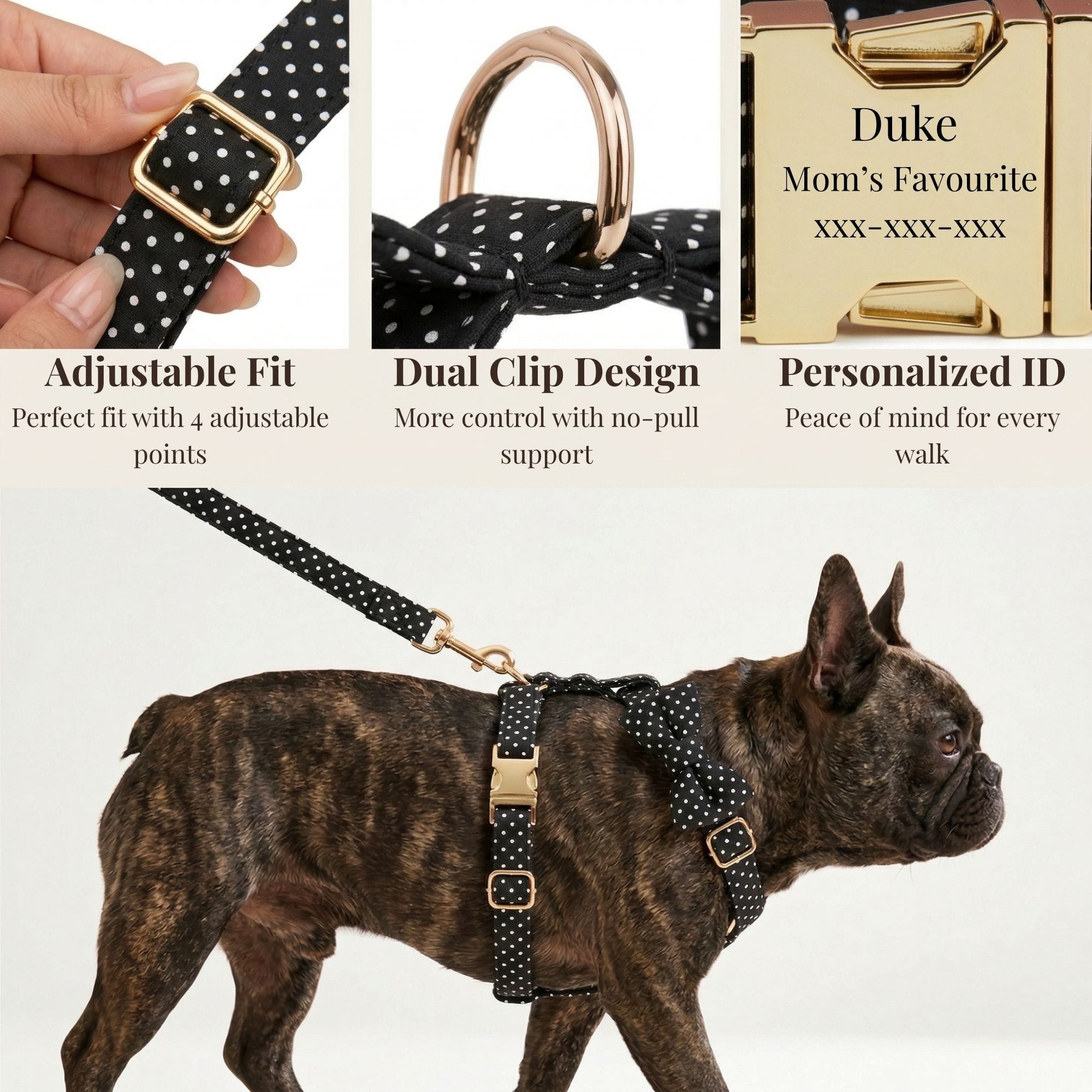 D&D Paws  Black Polka Dot Print Set