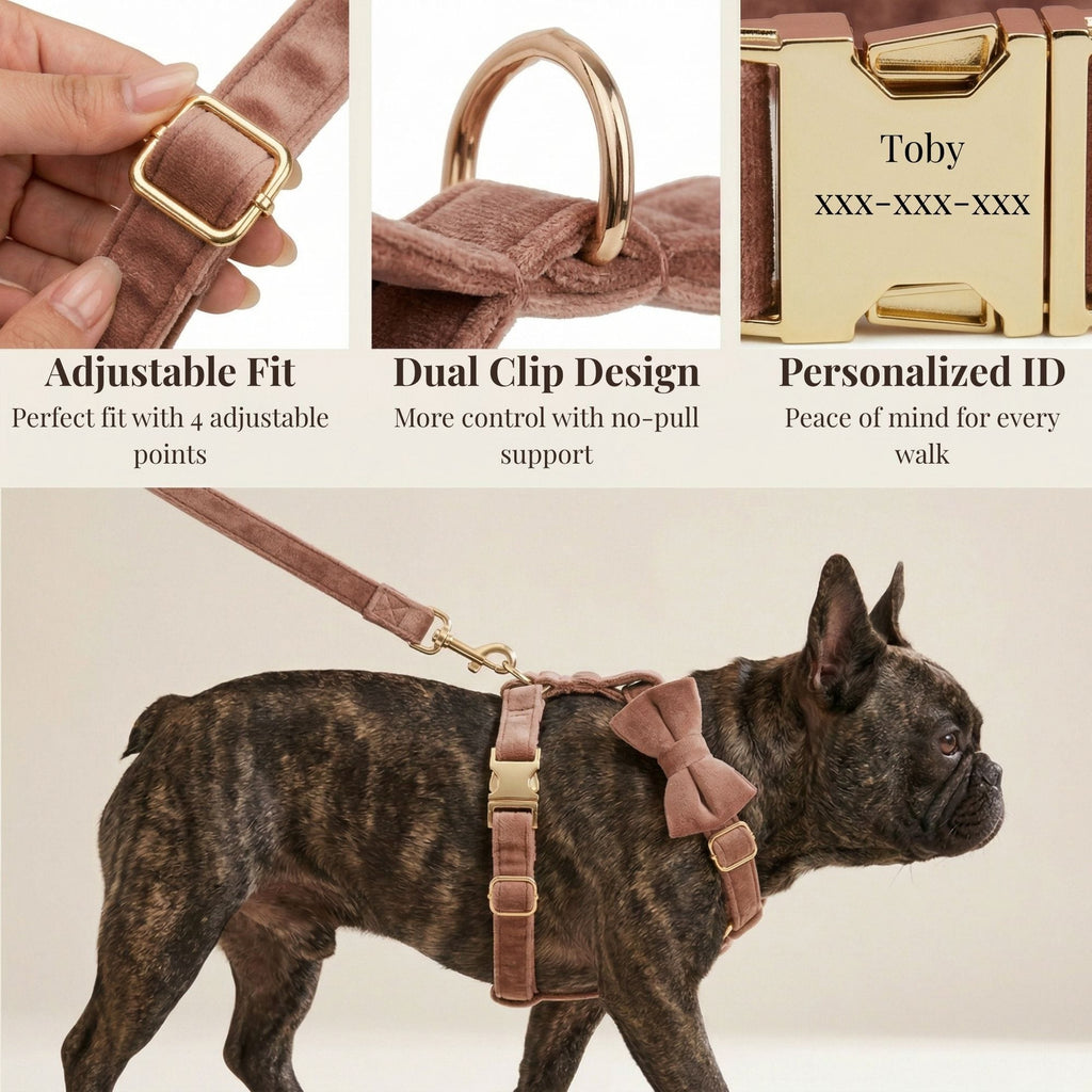 D&D Paws  Dusty Pink Velvet Set