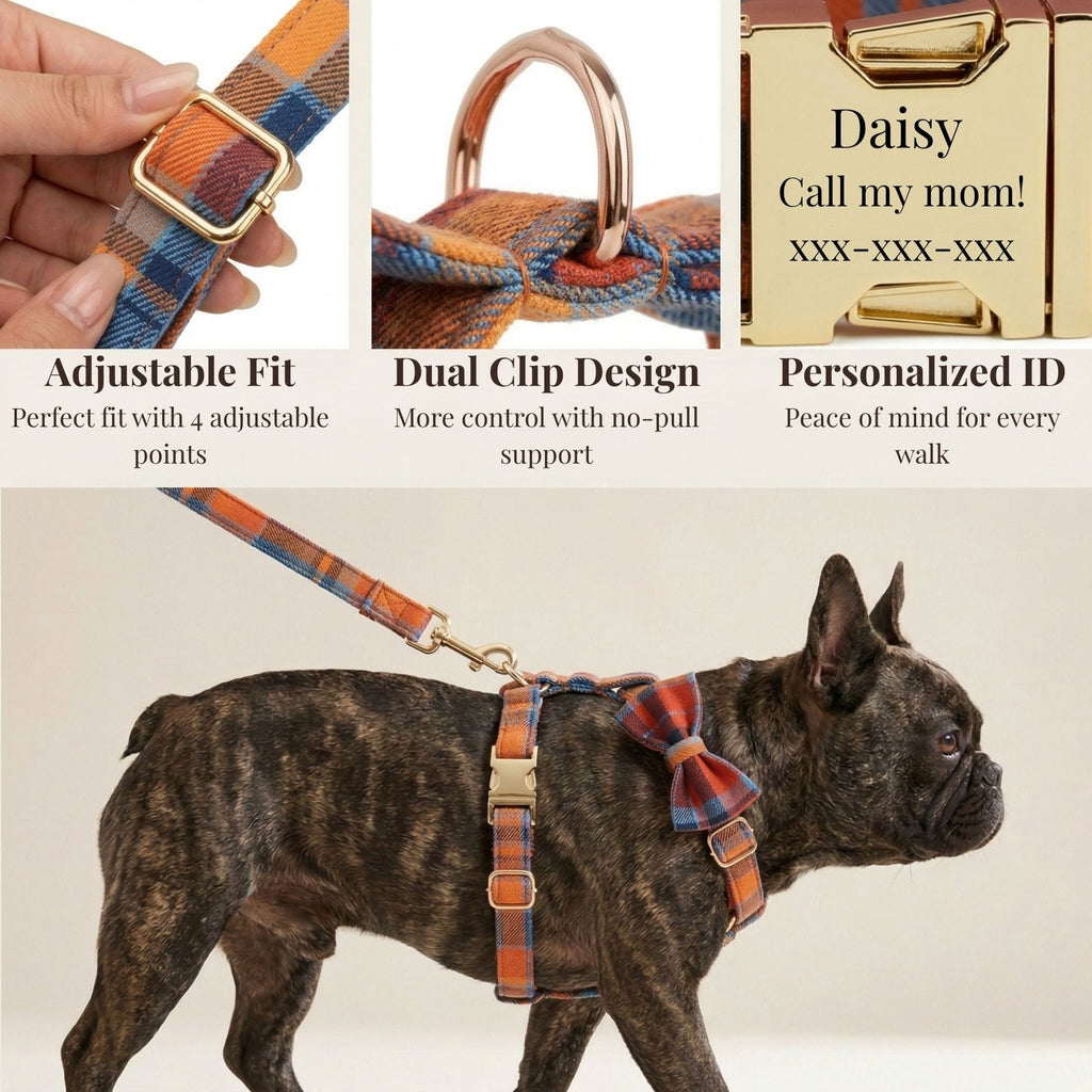 D&D Paws  Midnight Copper Plaid Set