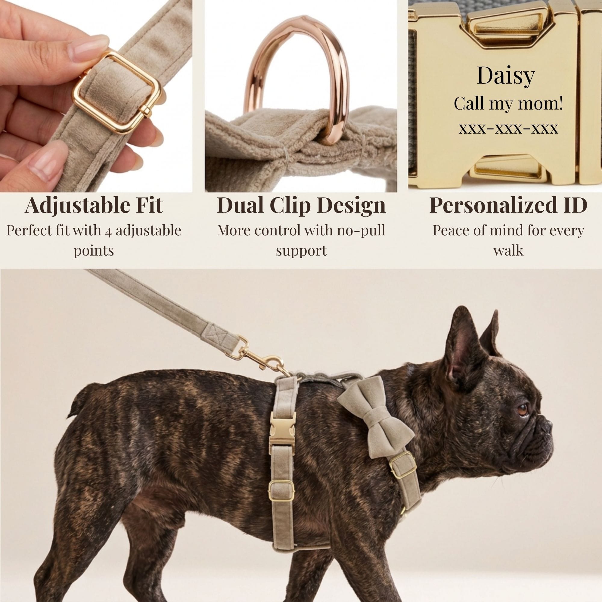D&D Paws  Light Grey Velvet Set
