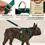 DDPaws  Green Star Velvet Set