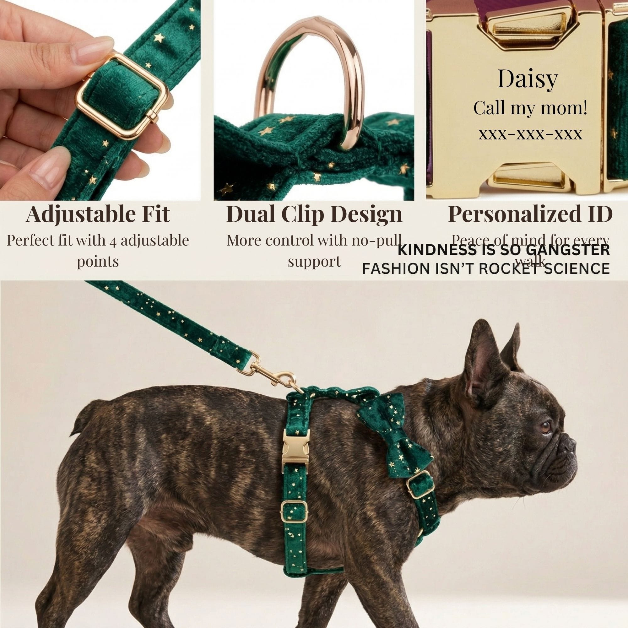 DDPaws  Green Star Velvet Set