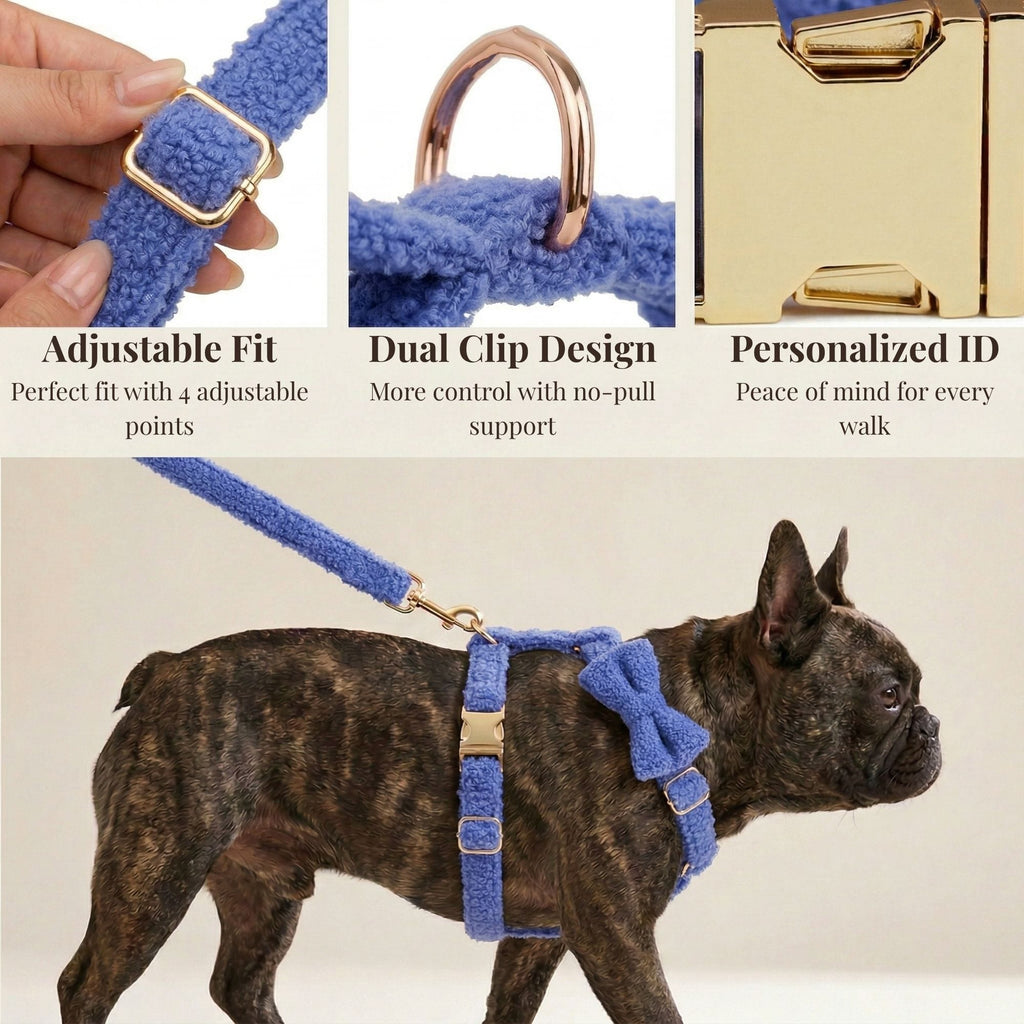 DDPaws  Blue Teddy Set