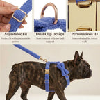 DDPaws  Blue Teddy Set