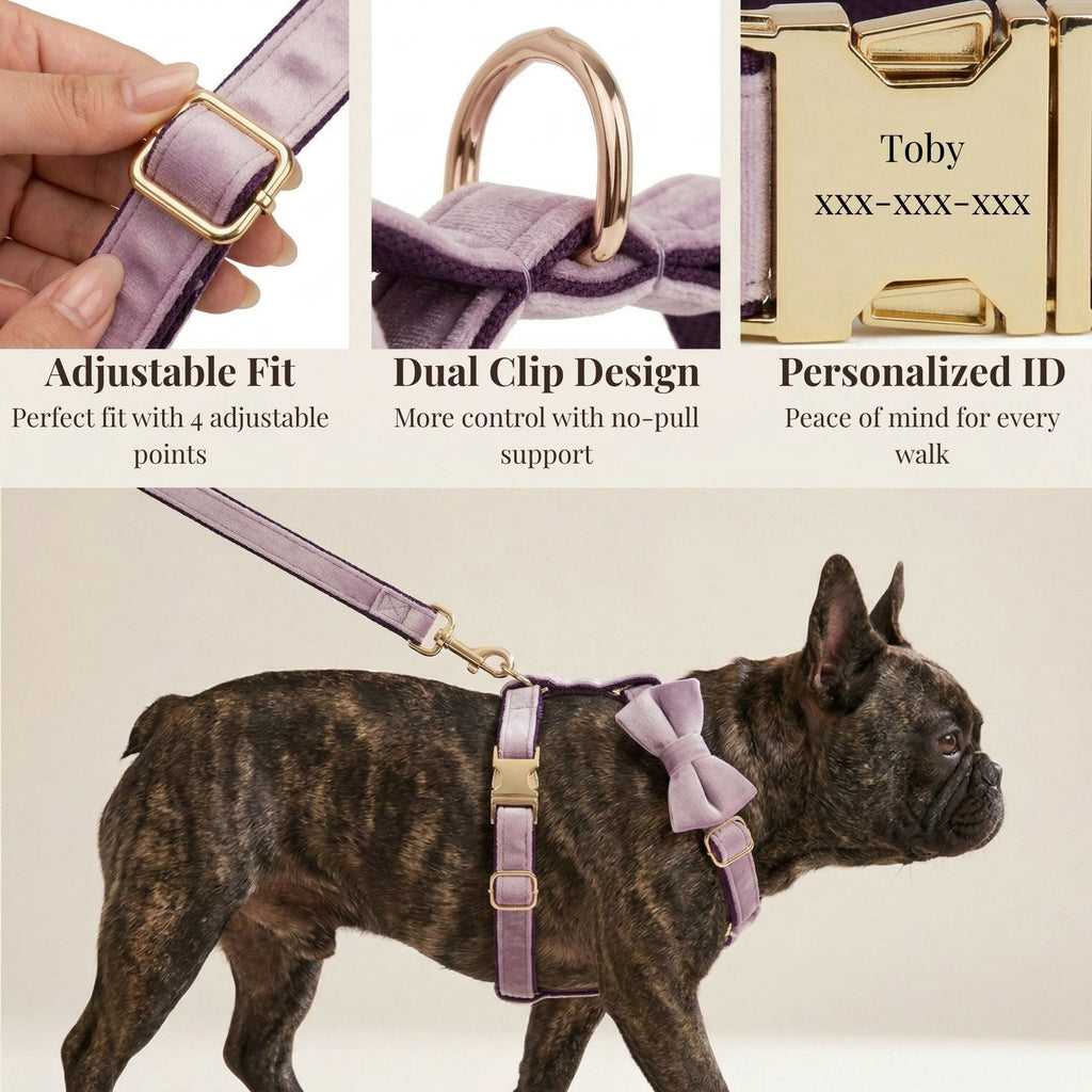 DDPaws  Deep Purple Velvet Set