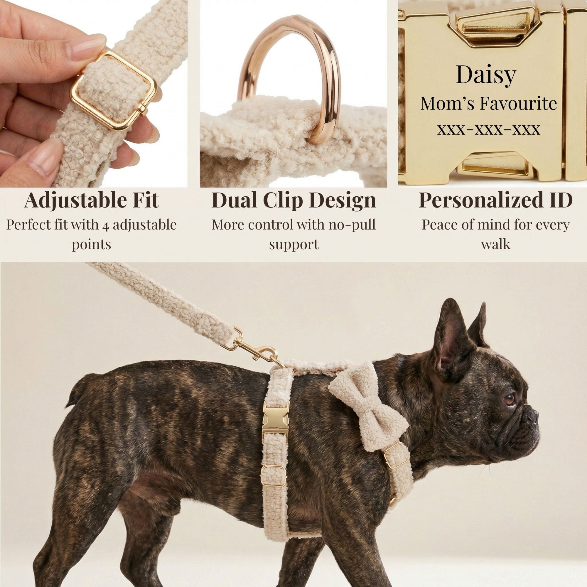 D&D Paws  Beige Teddy Set