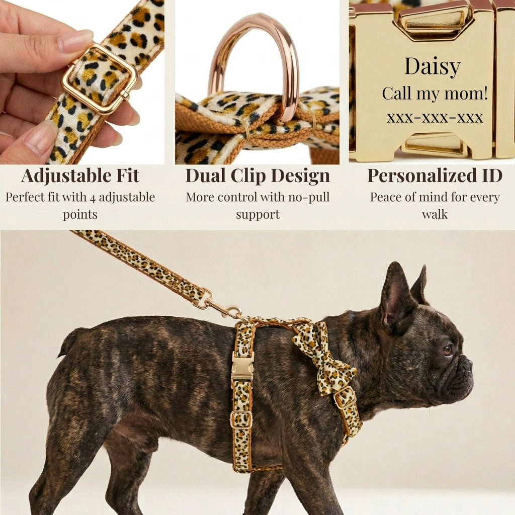 D&D Paws  Velvet Leopard Set