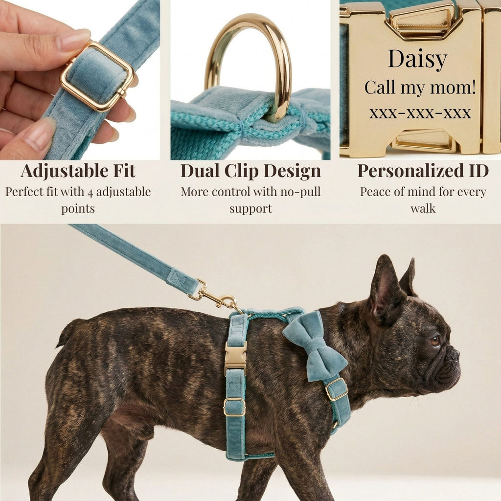 D&D Paws  Green Ocean Velvet Set