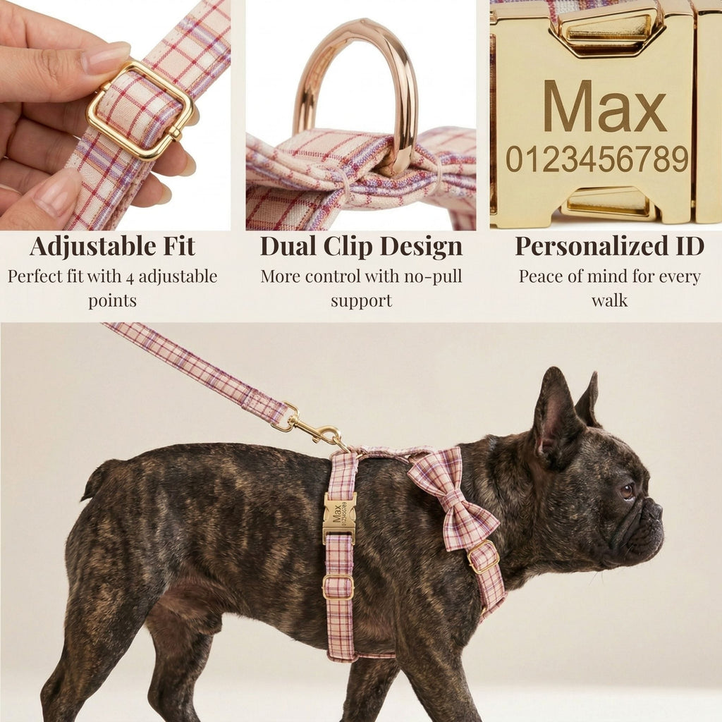 DDPaws  Barony Rose Plaid Set