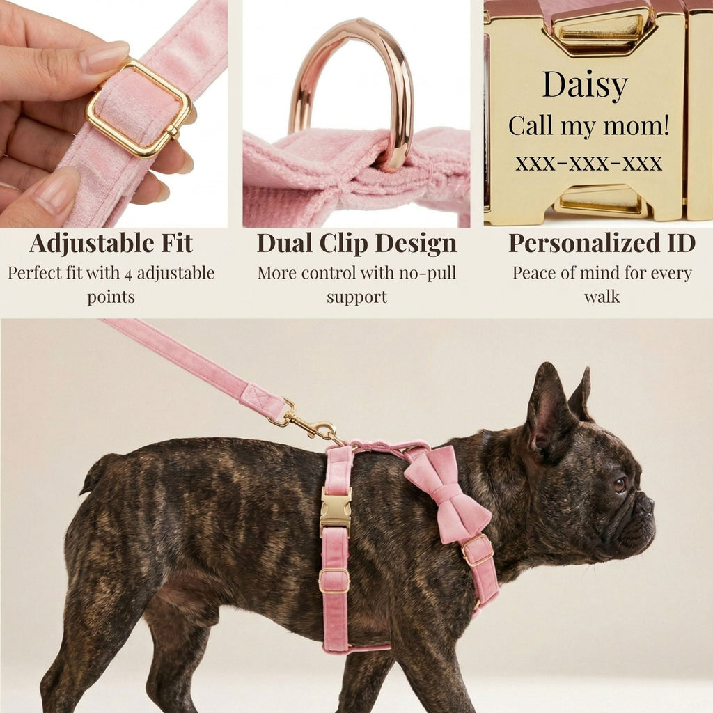 D&D Paws  Pink Velvet Set