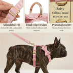 D&D Paws  Pink Velvet Set
