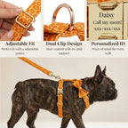 DDPaws  Halloween Pumpkin Print Set