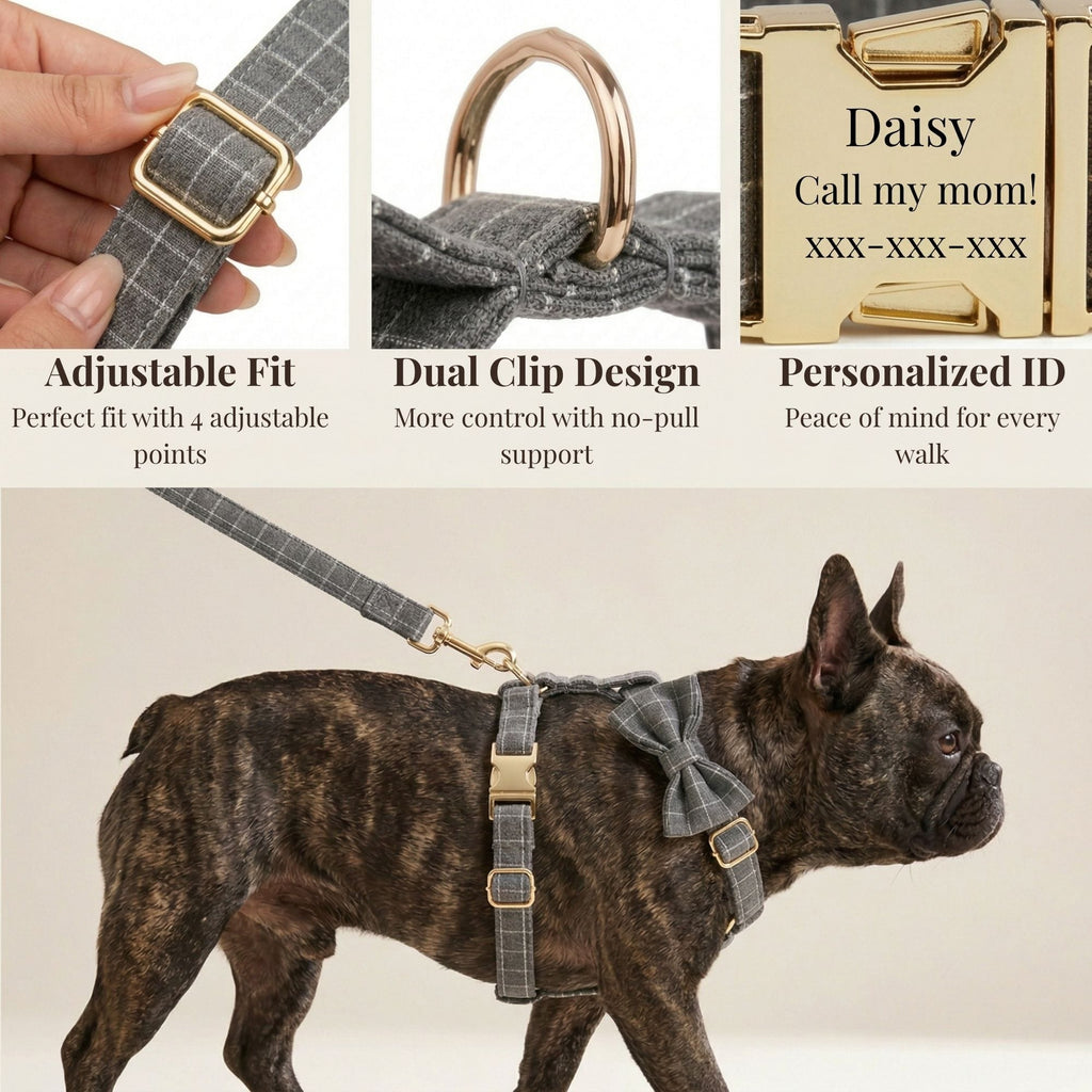 D&D Paws  Gray Plaid Set