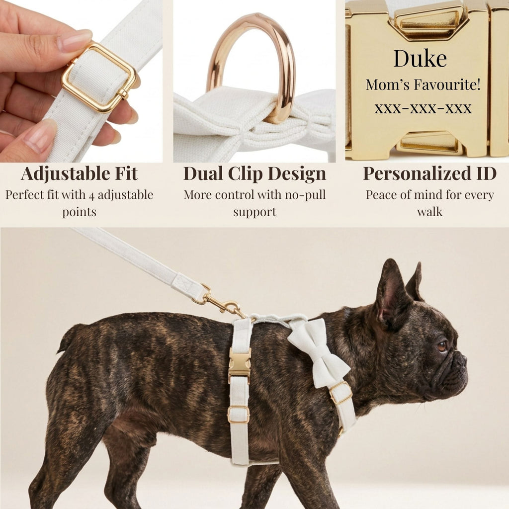 D&D Paws  White Wedding Velvet Set