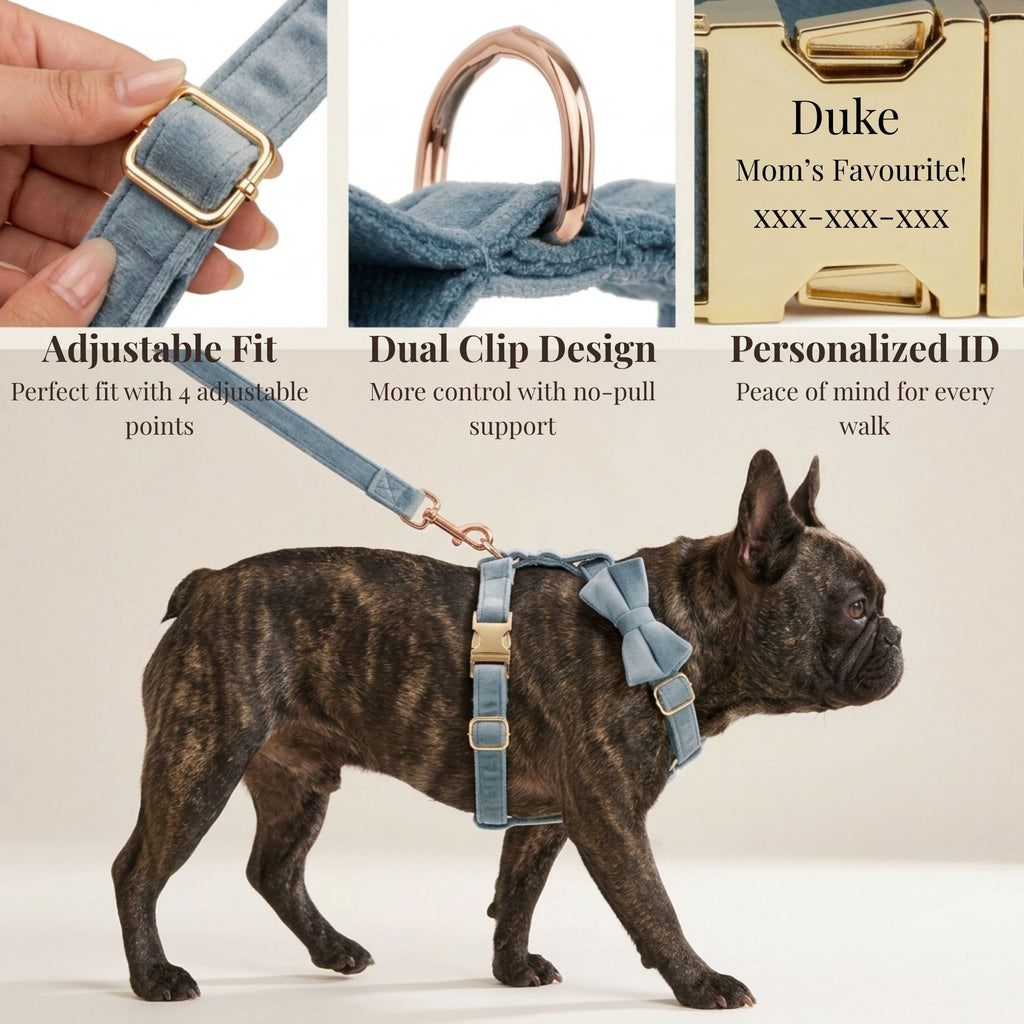 DDPaws  Dusty Blue Velvet Set