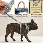DDPaws  Dusty Blue Velvet Set