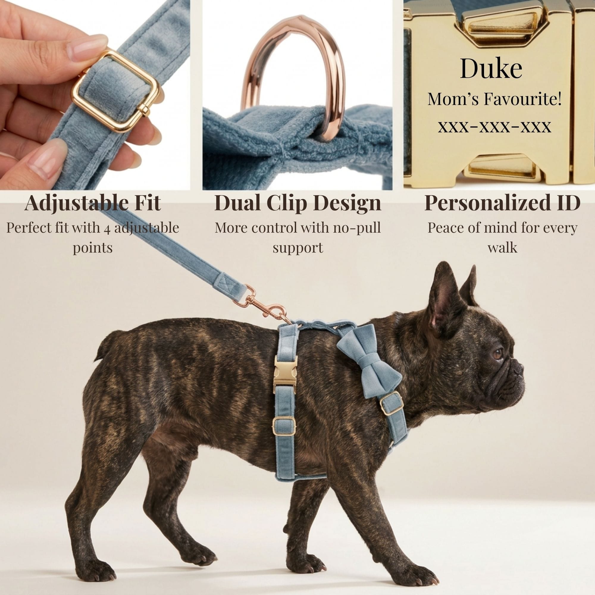 DDPaws  Dusty Blue Velvet Set