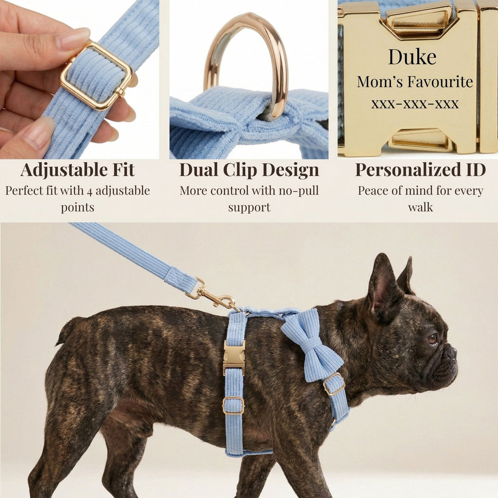 D&D Paws  Blue Corduroy Set