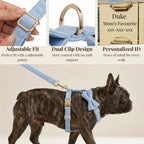 D&D Paws  Blue Corduroy Set