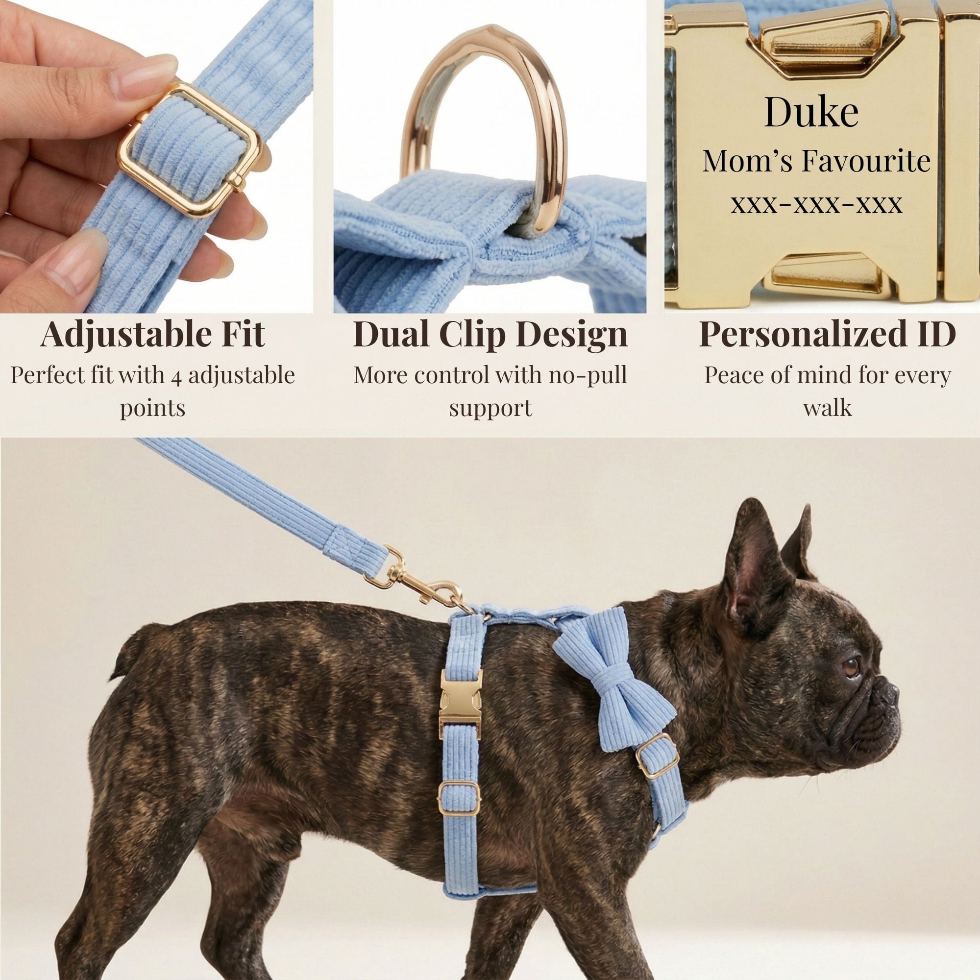 D&D Paws  Blue Corduroy Set