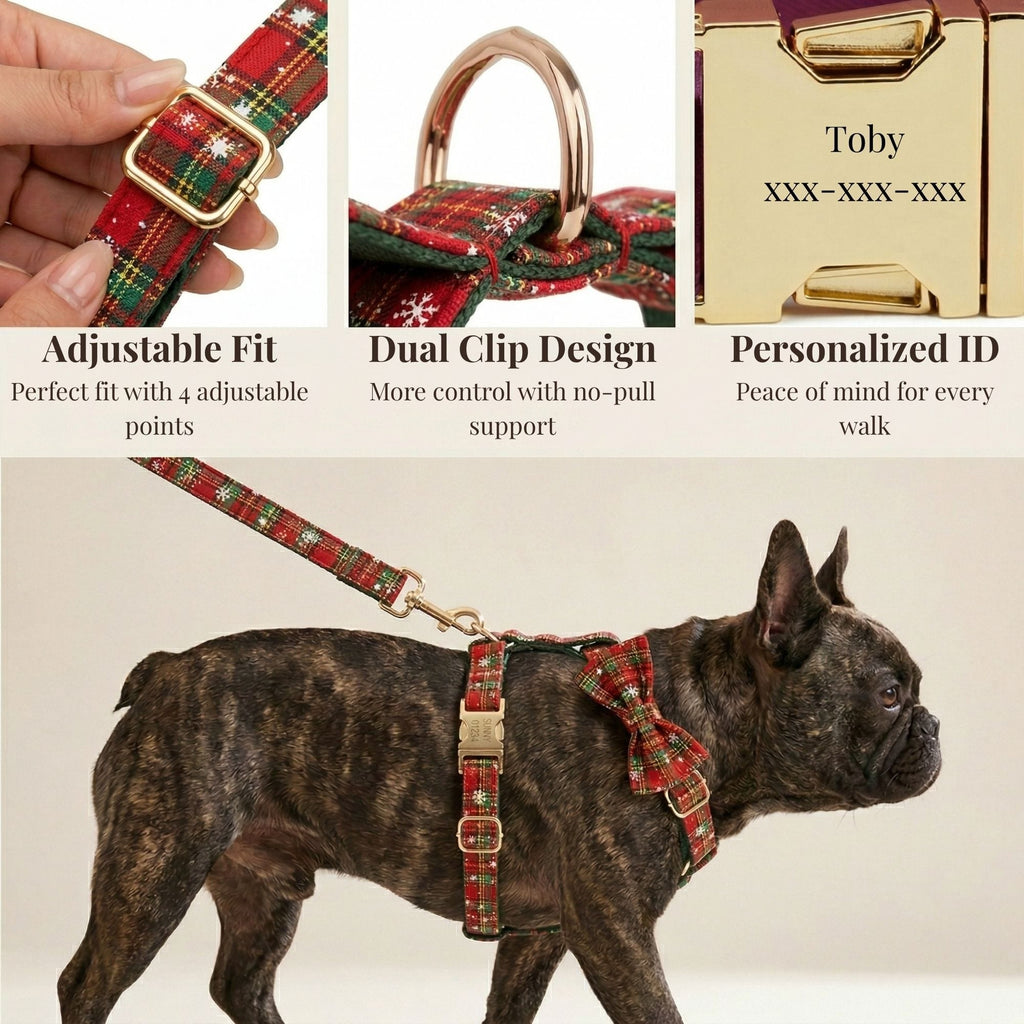 D&D Paws  Christmas Plaid Set